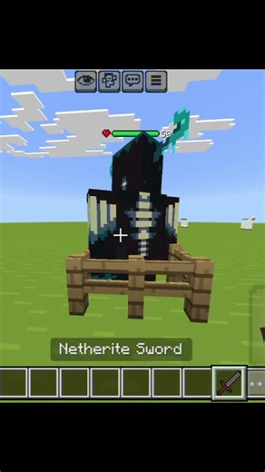 diamond sword VS netherite sword 💀🔥#minecraft #compersion