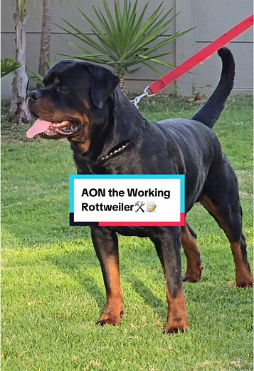 Always working never sleeping ❌🌍❌🌍