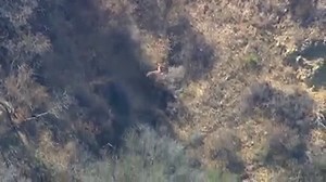 220K views · 4.5K reactions | A home invasion suspect wouldn't give...