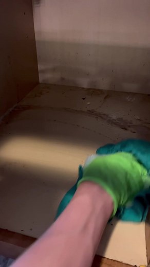 Transforming Dirty Garbage Cans and Cabinets | Clean with Me