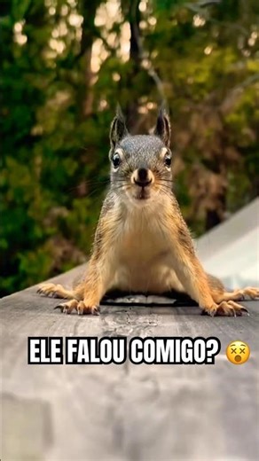 ESQUILO FOFOQUEIRO 😂 #shorts #wildlife