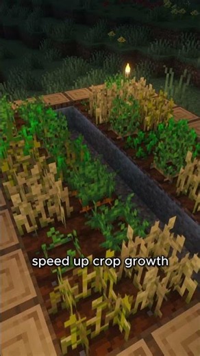 Minecraft Mods You NEED to Try!