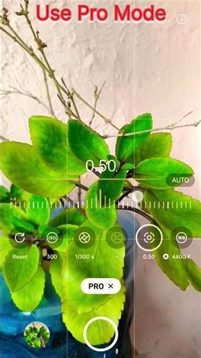 How to Use Mobile Camera Pro Mode 🤳👦 #camerapro #technology #phonecamerapro #promodesettings #shorts