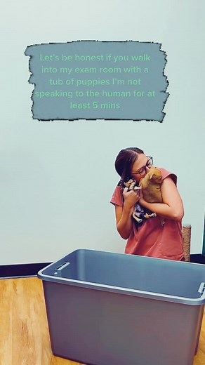 Dr. Molly Brinkmann on TikTok