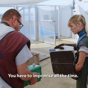 900K views · 2.1K reactions | Giving an x-ray to a 650-lb sea lion isn't as easy as it sounds. | National Geographic Animals | Facebook