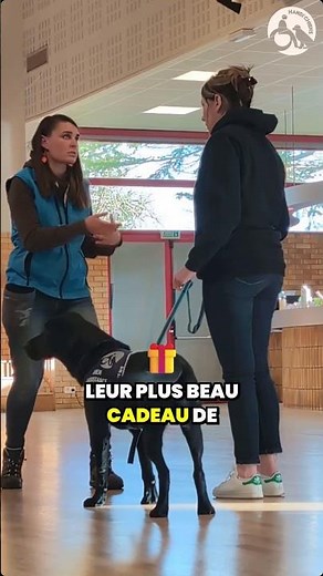 They leave transformed: 18 pairs united by an assistance dog 🐾💙 | HANDI’CHIENS