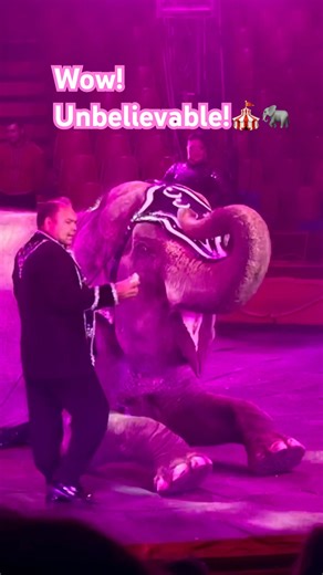 You MUST see this elephant trick! 🐘✨#elephant #animals #circus #tricks #cute #cuteanimals #shorts