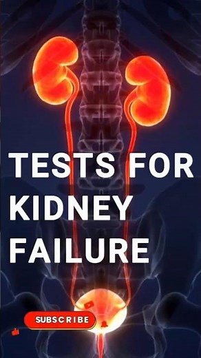 Kidney Function Test Explained in 30 Seconds | Blood & Urine Test Results Meaning | Medical Vault
