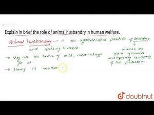 Explain in brief the role of animal husbandry in human welfare.