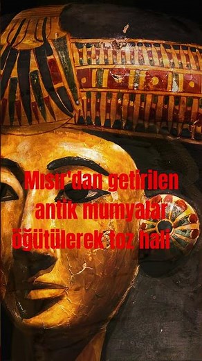 Avrupa’nın Karanlık Dönemi: Mumya Yeme Çılgınlığı. Bilgi Videoları #tarih #bilgi #shorts