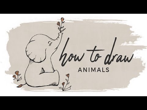 How to Draw Animals | Doodle with me!