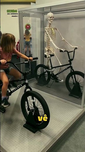 Isso Parece Um Esqueleto Vivo 😱 #curiosidades #esqueleto #incrível