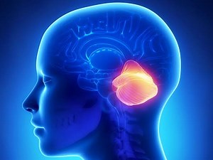 Ataxia: Symptoms, Causes, Diagnosis, Treatment