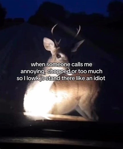 𝗦𝗮𝗱 𝗯𝘂𝘁 𝗵𝗮𝘀 𝗮 𝗴𝗼𝗼𝗱 𝗺𝘂𝘀𝗶𝗰 on Reels