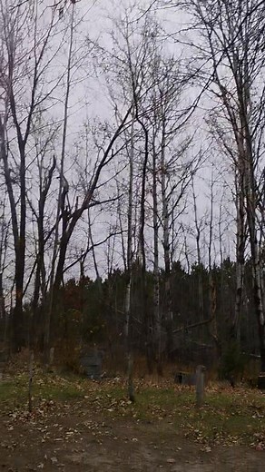 Well if u zoom in you can see im going to be cleaning up a few more down trees from the small tornado summer B4 last. I like the constant exercise chopping wood and hauling it with my tye died winter sled ...but man am I sore in the evenings when I stop moving around. I hate winter . Ugh! On a good note, at least it's not 80 degrees out! 😂 | Liz Larson