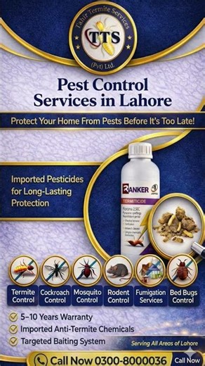Termite Control Pest Control Fumigation Services in Lahore