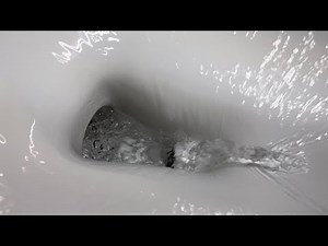 Kohler Wellworth Class 5 Flushing Close Up