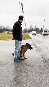 Most dog owners try harder. The ones who get results follow a proven plan. We take real dogs with real behavior problems and return them with calm, reliable off-leash control in as little as three weeks. Serious owners only. Apply to see if your dog qualifies. | CIA Dog Training