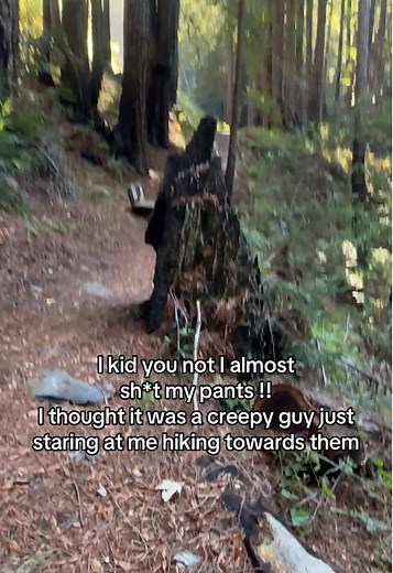 Creepy Hiking Encounter on a Dark Trail – What Was That?