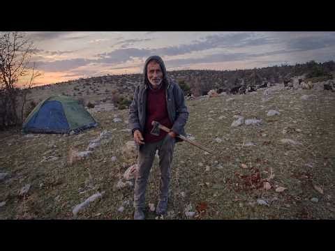 7 Times Cameras Caught Terrifying Camping Encounters
