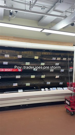 Preparing for Winter Storms: Trader Joe's Essentials