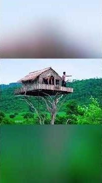 big mount tree 🌳 jangal house 🏠 #jangal