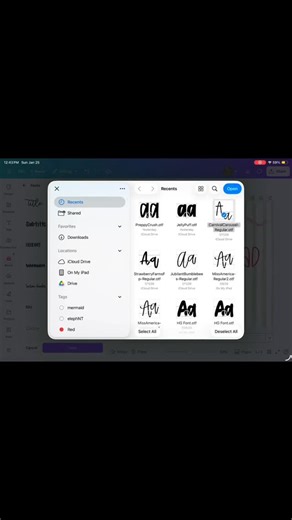 Banner + Brush Co on Instagram: "Since so many of you asked after I posted the font video, here’s a quick how-to on uploading fonts to Canva ✨"
