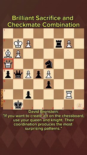 7K views · 104 reactions | David Bronstein: "If you want to create art on the chessboard, use your queen and knight. Their coordination produces the most surprising patterns." #brilliantmoves #chessmoves #chess #chesslife #chessnotcheckers #chesstactics #chessgame #chessmaster #chesspuzzle #fblifestyle | CHESS TUNES | Facebook