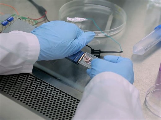 High efficiency, Site-specific Transfection of Adherent Cells with siRNA Using Microelectrode Arrays MEA