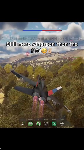 Wingspan Meme: The Funniest F-104 Jet Moment