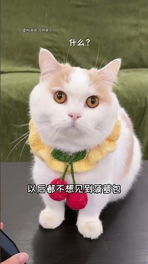【菠蘿包的日常】我捧的你起，就收得你皮！