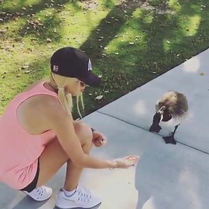 98K views · 393 reactions | orianthi on Reels | Facebook