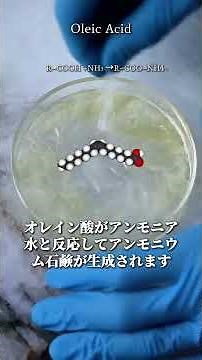 How to turn iron nails into magnetic fluid