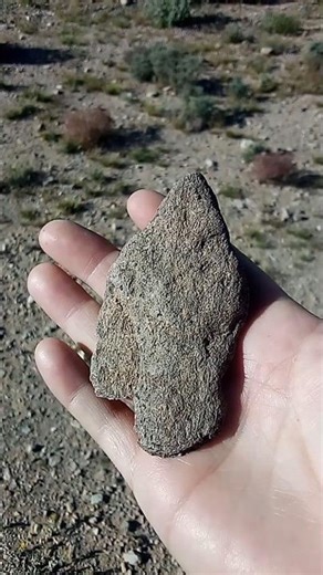 Ancient Spear Point Artifact has freshy marks.