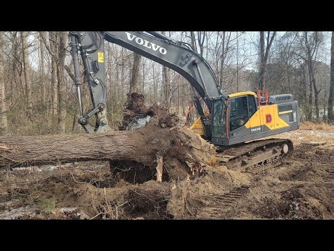 Burning In The Snow And A Tree Got The 350 :(