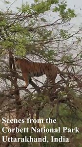 44 reactions · 6 comments | The Prey Predator Relationship explains...