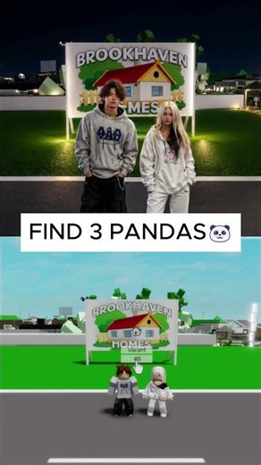 FIND 3 PANDAS CHALLENGE🐼👀