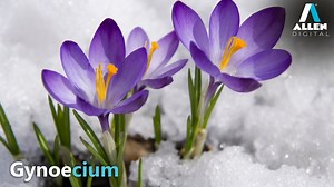 1.1K views · 20 reactions | In Allen Digital's Live video learn about...