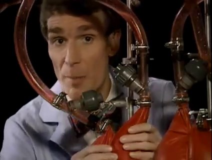 Bill Nye The Science Guy S02E03 Blood & Circulation
