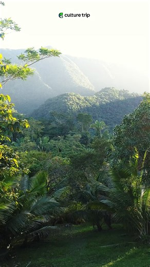 20K views · 54 reactions | Ready for an epic adventure in Ecuador? ️ Hike volcanic landscapes, raft through the jungle, and explore the Amazon rainforest on this eight-day journey. Click the link below to join our small-group trip to Ecuador. https://theculturetrip.com/south-america/ecuador/trips/discover-andes-amazon-ecuador-tour/?utm_source=facebook&utm_medium=social&utm_content=feed | Culture Trip | Facebook