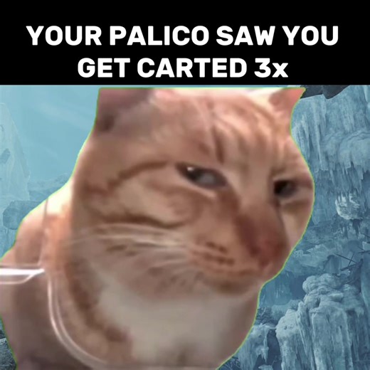 Palico Adventures: Getting Carted in Monster Hunter