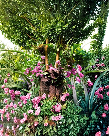 Tropical Orchid Garden Botanical VIDEO | Samsung Frame TV | Live Wallpaper | Instant Download - Etsy