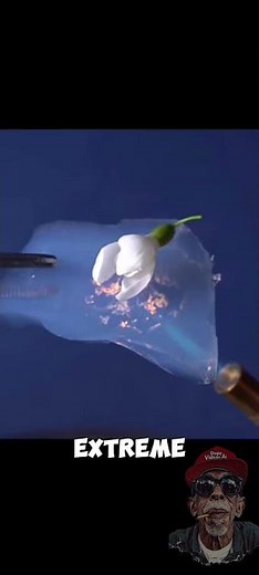 This Is What Aerogel Is Made Of 🤯