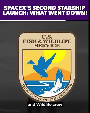 33K views · 594 reactions | What Exactly Happened On SpaceX's Second Starship Launch Attempt! | The Space Race | Facebook