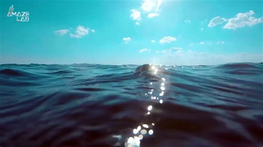 This is The Demon Shark That Marine Biologists Have Been Trying to Track Down for 40 Years