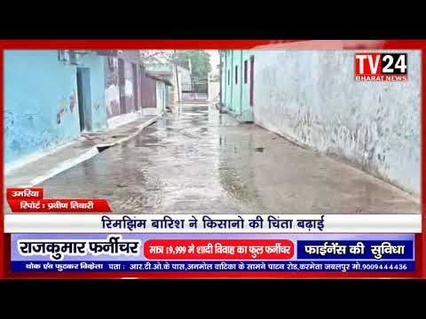 उमरिया जिले में आज सुबह से ही मौसम का मिजाज अचानक बिगड़ हुआ है बेमौसम हुई रिमझिम बारिश ने किसानों क