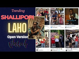 Minister Of Enjoyment | Desperado | Laho - Shallipopi (Tiktok Remake)