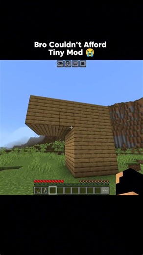 Minecraft Tiny Mod Moment 💀