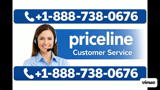Official Priceline™ Customer Service Guide | Step-by-Step Help & Support Explain