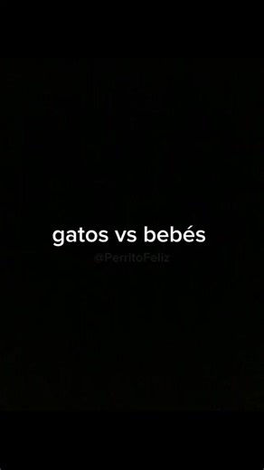 gatos vc bebê #foryou #humor #fyp #tiktok